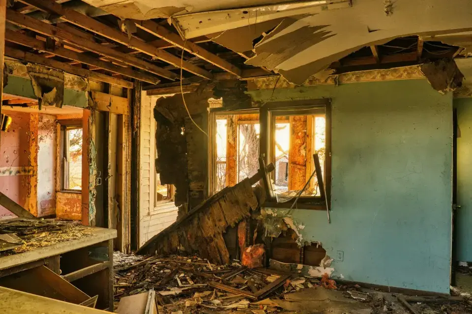 Daly City's Trusted Local Mold Specialists — Daly City, CA