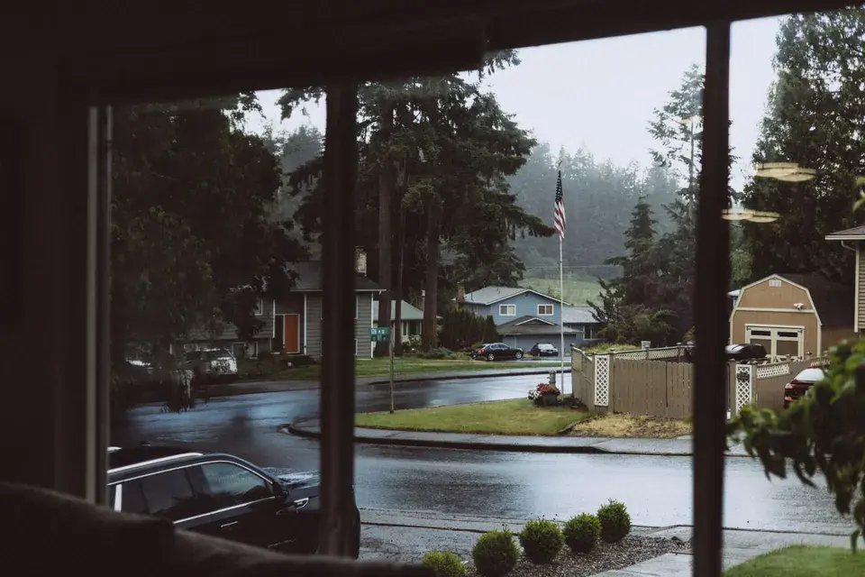 mold removal Marin City