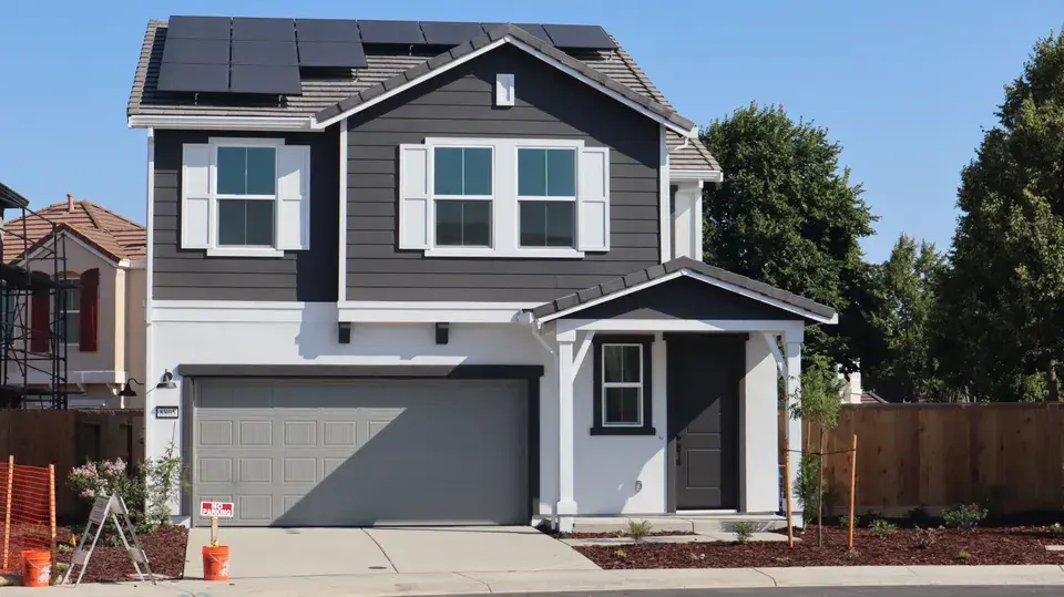 mold removal Millbrae